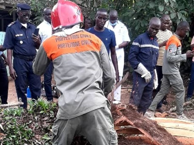 GRAND-BASSAM : UN ENFANT TUE ET UNE FEMME GRIEVEMENT BLESSEE PAR LA BRANCHE D’UN FROMAGER CENTENAIRE