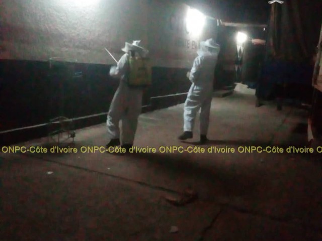 ODIENNE : LES POMPIERS CIVILS DU KABADOUGOU DEPLACENT UNE RUCHE D’ABEILLES DANGEREUSES