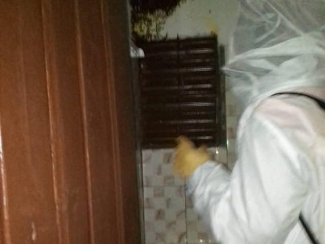 UN NID D’ABEILLES DELOGE PAR LES POMPIERS CIVILS DU KABADOUGOU