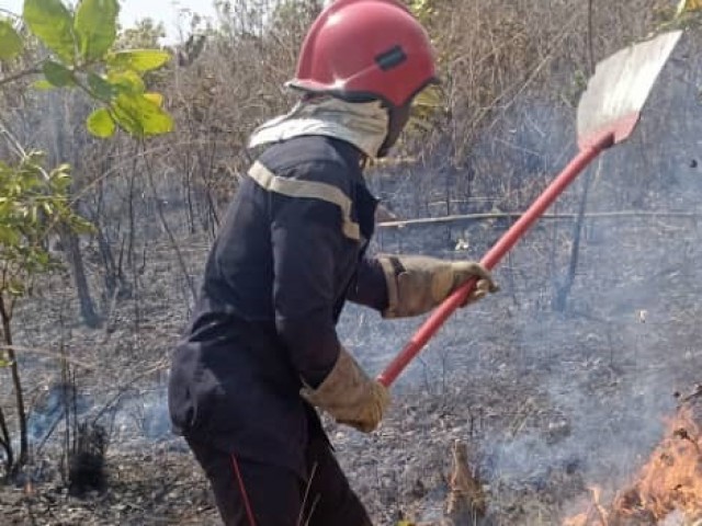 FEUX DE BROUSSE : UNE PLANTATION D’ANACARDE ENTIEREMENT DETRUITE A TOUBA