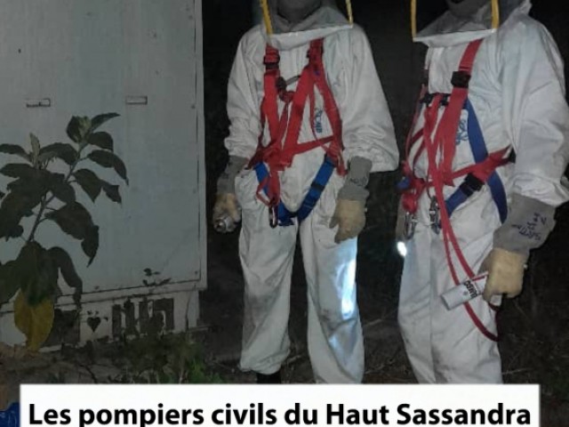 DES ABEILLES DELOGES A DALOA ET FERKESSEDOUGOU