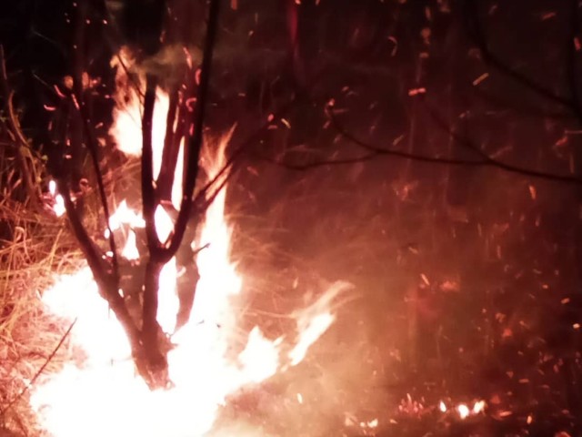DIMBOKRO : ONZE POMPIERS CIVILS FONT FACE A UN FEU DE 615 HECTARES D’HEVEA A BOCABO ET A DADIEKOUASSIKRO