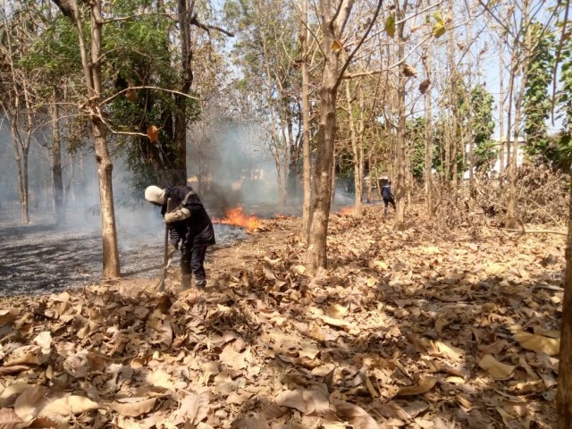 LE FEU MIS A DES ARBRES MENACE DES HABITATIONS A TOUMODI ET A MAN