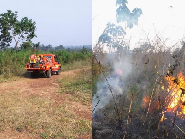 UNE PLANTATION D’HEVEA DEVASTEE PAR LES FLAMMES A DIMBOKRO