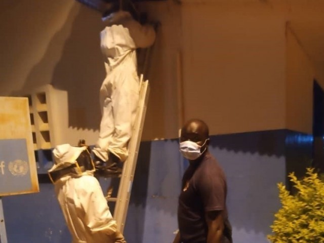 LES POMPIERS CIVILS AGISSENT CONTRE DES ABEILLES A DIMBOKRO ET A BOUNA