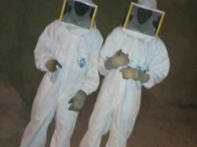 ATTAQUE D’ABEILLES : LES POMPIERS CIVILS DU HAMBOL INTERVIENNENT A KATIOLA