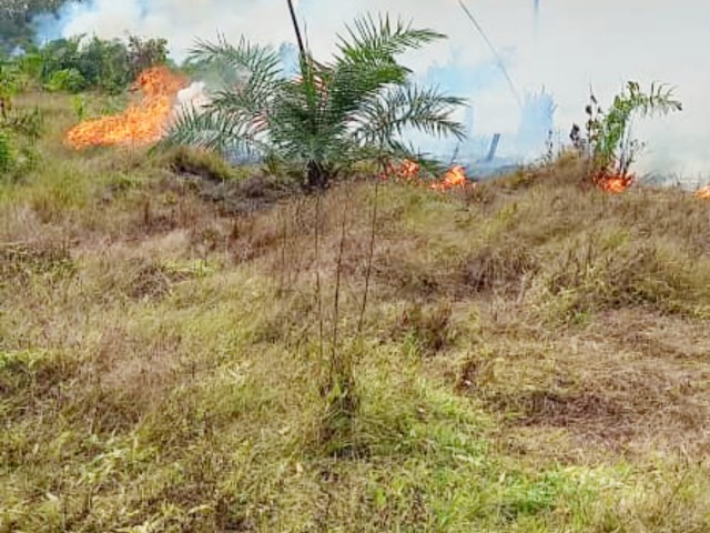 ABOISSO : UN PLANTEUR MANQUE DE PROVOQUER UN FEU DE BROUSSE