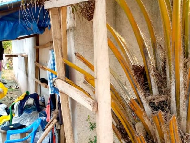 DES ABEILLES DÉLOCALISÉS PAR LES POMPIERS CIVILS DU SUD-COMOÉ