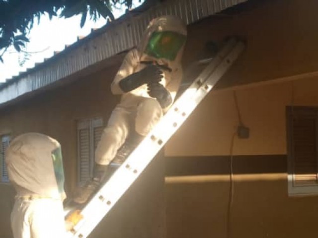 UN ESSAIM D’ABEILLES DELOGE PAR LES POMPIERS CIVILS DE LA BAGOUE